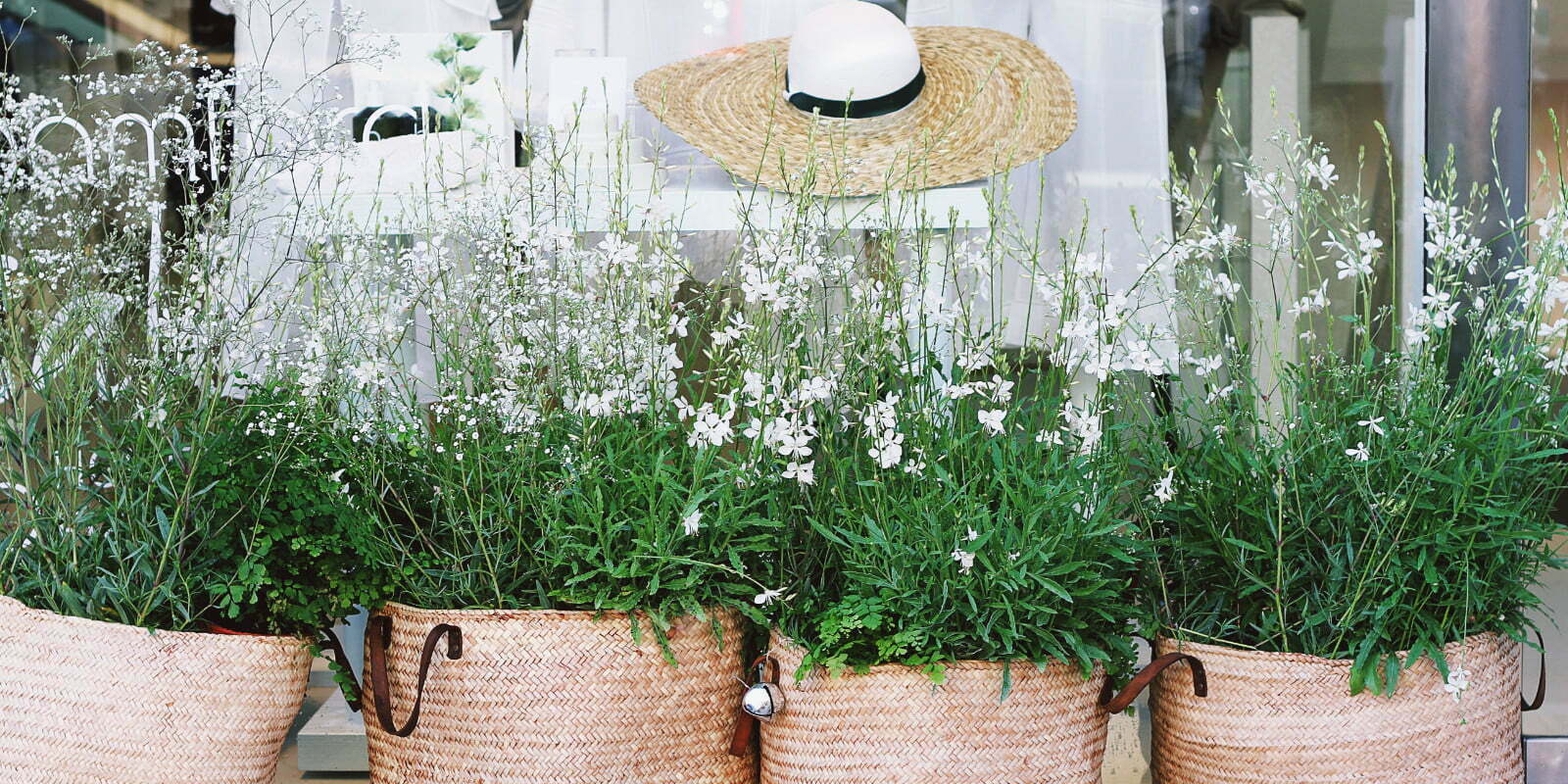 Cane baskets with white flowering plants in fromt of a shop window featureing ladies dresses and hats.
